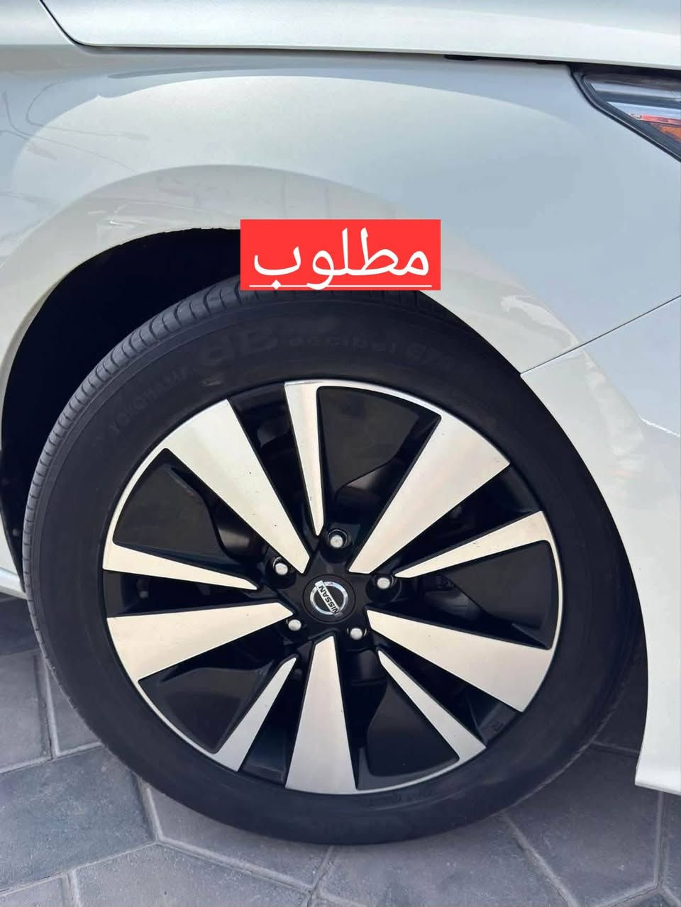 السلام عليكم
مطلوب مراوس


**إذا كنت صاحب هذا الإعلان وتريد حذفه لأي سبب، رجاءا أرسل رسالة إلى الدعم الفني**