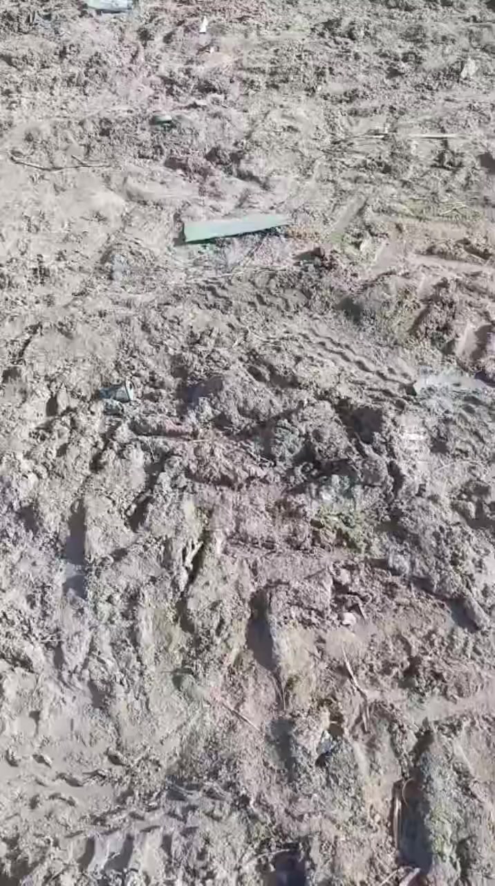 للبيع دسك ترموز تركي حجم 20
السعر 4 مليون ونص
المكان الناصرية /قضاء الدوايه
***********
