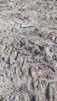 دسك ترموز تركي • حجم 20 • الناصرية