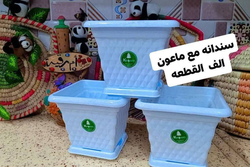 ❤️لكثرة الطلبات 🌹
🪴يتوفر لدينا جميع اكسسوارات نباتات وسنادين بلاستك نوعيه ممتازه 🦊🪴 🐼 
🚕توصيل كل محافظات العراق 🚕 
🪴الزرع لعرض فقط 🪴 
يتوفر جمله ومفرد 🐼 🦊 
حجز على خاص ☎️
📞***********📞

🐼تتوفر لدينا جميع اكسسوارات نباتات 🐼
🪴و سنادين مختلف الأشكال والأحجام والألوان 🕊️🐝🐞🐦🕊️🦋🐦🐞🌿🍄🕊️🐞🦋🐦🍄🌿
متوفر دعسوقات 🐞 🐞🐞🐞
ونحلات لاصقه 🐝🐝🐝🐝🐝
وفراشات 🦋🦋🦋🦋🦋🦋
فطر زينه 🍄🍄🍄🍄🪴💕
1-🐼باندا او سنجاب 🐼 
 2🐞
4-🐞وسط ٢٠ وسط جيس الف 🐞
5-🐞دعسوقة خشن ١٠ قطع با الف 🐞
6-🐞دعسوقة ملون ١٠ قطع الف🐞
7-👍كف ١٠ قطع الف 👍
8-🐦عصفور ٥٠٠ القطعه 🐦
9-🪴غصن مترين رفيع  الواحد الف 🪴
10-🎊نشر ضوئيه مترين الف 🎉🎊
11-🌹🐝
12-🌹🍄🐝🐝
13-🌹🦋🦋🌹فراشه عاديه لصق وجهين و مغناطيس ١٠ قطع با الف🦋
14-❤️جيس ١٠ قطع  ماسك لبلاب كف 
١٠ قطع الف👍
15-🍄١٠ قطع فطر اكبر شويه الف 🍄
18-🪴ماسك لبلاب الف 🌿
🦋
19- فراشات سيم صغيره  ٤ سم 4 با الف🦋
🦋٧ سم ٣ با الف🦋
🦋٨ سم و ٩ سم  ٢ با الف🦋
20-فطر ملون صغير 10 با الف🍄
21-دعسوقة ام عوده ملون جيس 10 قطع الف
22-فطر احمر كبير او صغير جيس الف🍄
23-فطر ملون  صغير او كبير جيس الف 🍄
26- حجر ملون فقط جيس الف 🔵🟣🎊
🪴الزرع لعرض فقط🪴 
#توصيل كل #محافظات_العراق
#بغداد #ناصريه #نباتات #ديوانيه #زرعاتي #سنادين_ورد #ديكورات #نباتات_منزلية_داخلية #نواعم #بابل #البصره #ديالي #واسط #المثني #ديكورات_خشب
#سناد #سناد_زرع #نباتاتي
