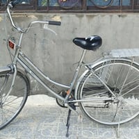 باسكل عكرب • حجم ٢٧ • الهاشمية التياس