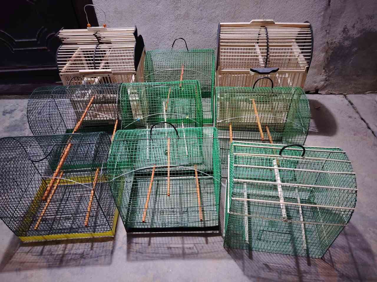 العرض مستمر جوه السوك جبنالكم اليوم ٩ اقفاص جدد لوك اقفاص بلابل الخضر ٧ اقفاص وخشب قفصين الخضر على ٦ والخشب على ١٢ واذا شلع كلهم يفرق بالسعر  اقفاص مامستخدمه
خلي يستفاد الفقير😉
عنوان كركوك مستشفى اورام سايدين اليروح على بنجه علي
*********** 📞
