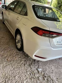 كورولا • ٢٠٢٣ • رقم اربيل