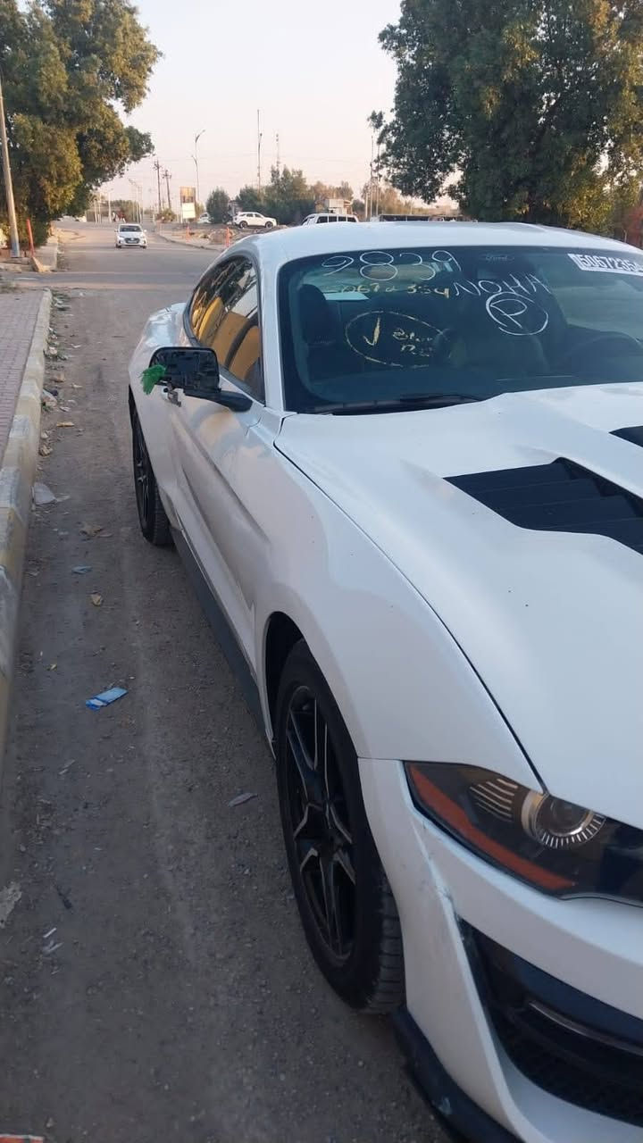 موستنك مديل ٢٣   تيربو  ٤سرندر حادثهه
جاملغ وبنيد وباب وجاملغ خلفي يعني ٤ قطع صبغ بيهه 
صار     بسمي  داخله  تترقم اي محافظه 
مكاني كوت سعر ١٢٥ بدون رقم عادي مراوس
*********** دهل اوران, واسط
