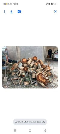 حطب يابس اللبيع الكيه 75 اتصل ‏‪07804539124‬‏