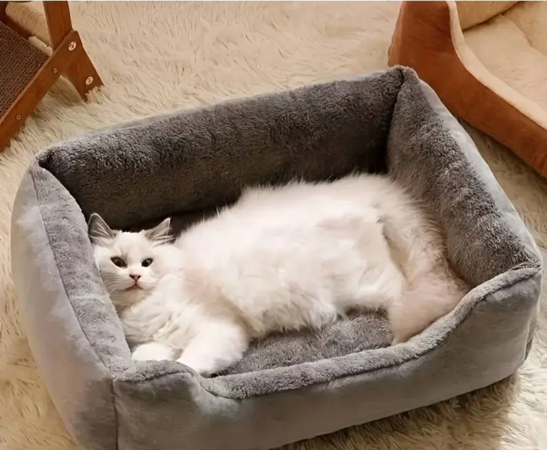 فراش قطط سعر 5


**إذا كنت صاحب هذا الإعلان وتريد حذفه لأي سبب، رجاءا أرسل رسالة إلى الدعم الفني**