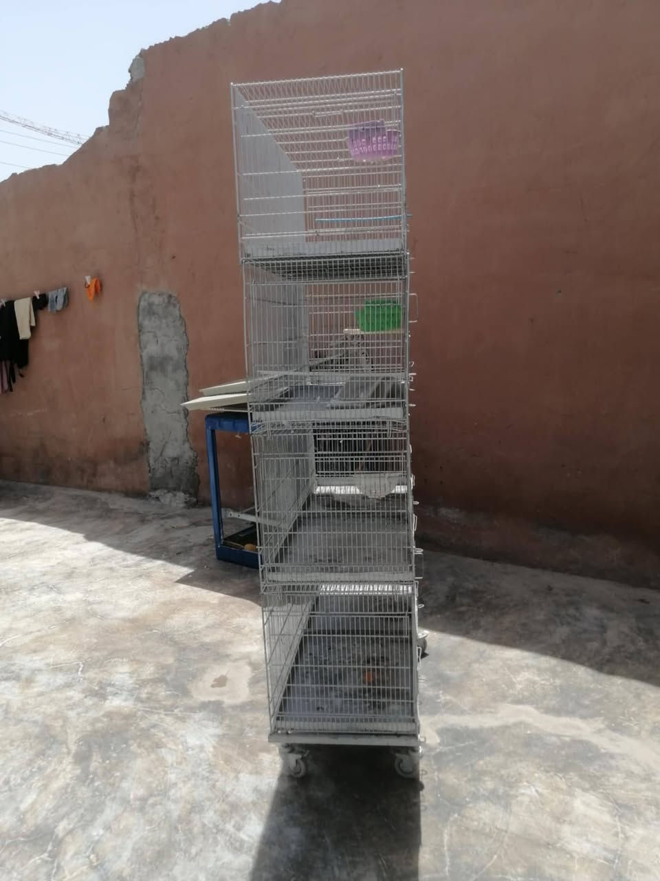 یە ك  سیت  قە فە سە سی  جوان  کاملە  شتیکی  باشە  بۆتە یر   کلار  لیواکە   
***********
