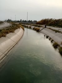 ٤ دوانم • الشيخ عامر • سند مستقل