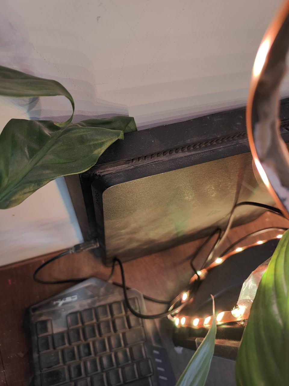 سلام عليكم عندي بلي 4 سلم اون لاين وياه يدات 2 اصليات مع  الالعاب هاي
اريد مراوس بpc  وانطي فرق


**إذا كنت صاحب هذا الإعلان وتريد حذفه لأي سبب، رجاءا أرسل رسالة إلى الدعم الفني**