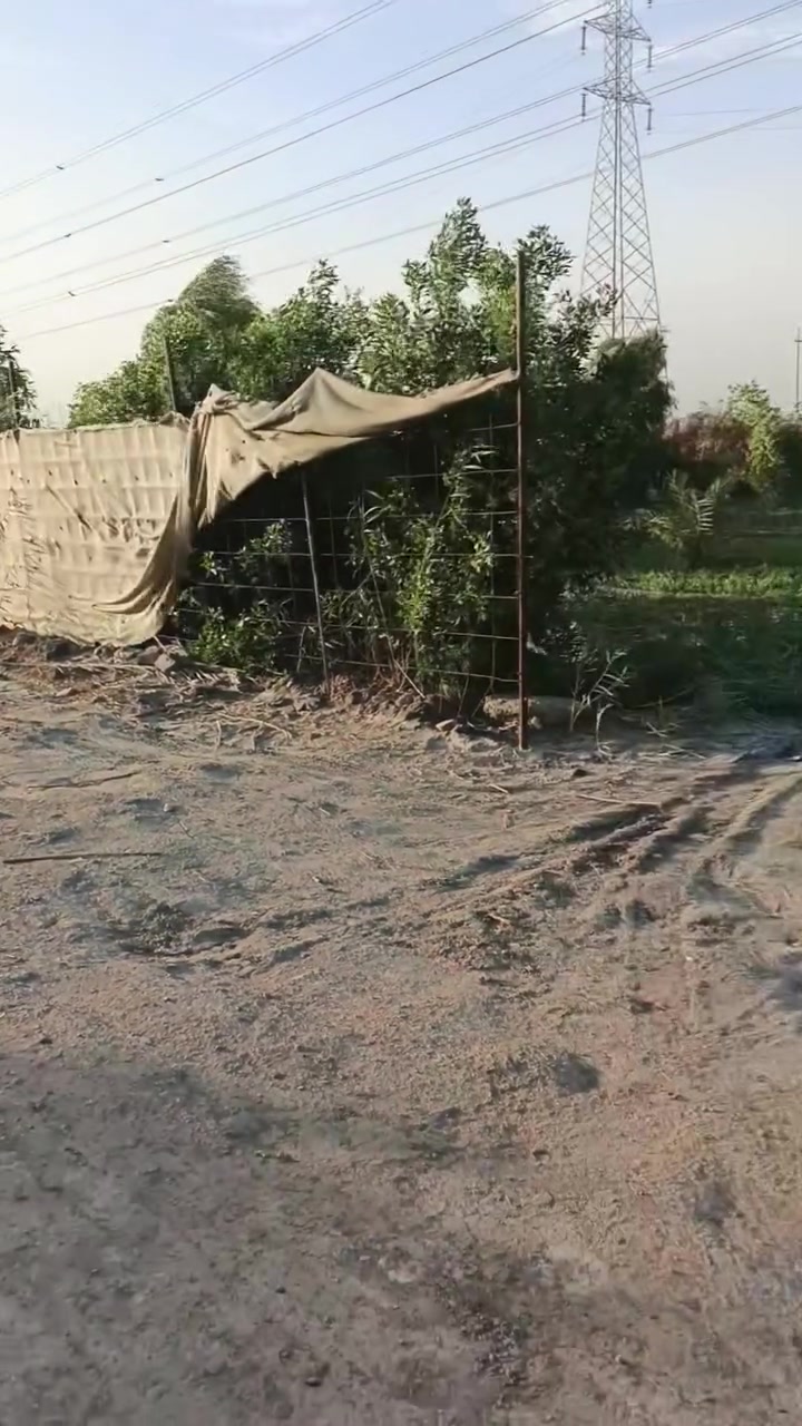 سلام عليكم  بستان للبيع مساحته لوجه 30 ونزال 50  مكانه حي جوادين نزله ثانيه نزله كيلو عن شارع  ماي اساله وكهرباء وكرمه وغطاس للستفسار اتصال على الارقام  

***********////***********
