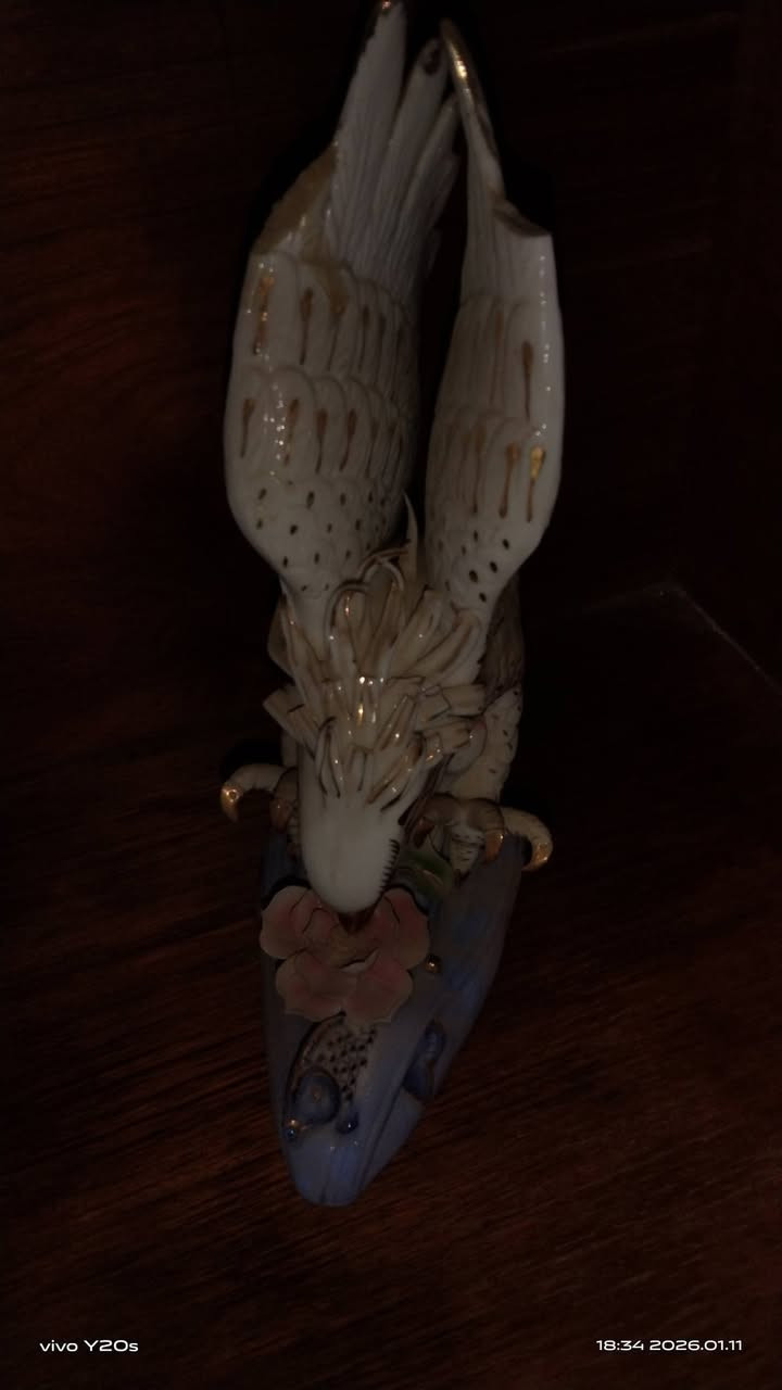 الــسلام عـلــــيكم
للبيع تحفيات شلع مفرد مابيع 
الاستفسار الاتصال على الرقم التالي 
*********** واتساب
