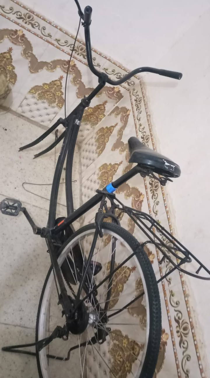 سلام عليكم البايسكل للبيع عوزه ويل كدام حجم 26 البايسكل كلش وياء جملغاته وياء سعره 45وبي مجال قليل


**إذا كنت صاحب هذا الإعلان وتريد حذفه لأي سبب، رجاءا أرسل رسالة إلى الدعم الفني**