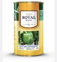 بذور انتاج • رويال الهولندية • اسعار جملة