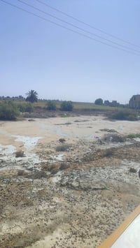 السنية • ٤ دونم وربع • سند ٢٥