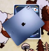 آيباد ١٣ برو • ٢٥٦ • بطارية ١٠٠