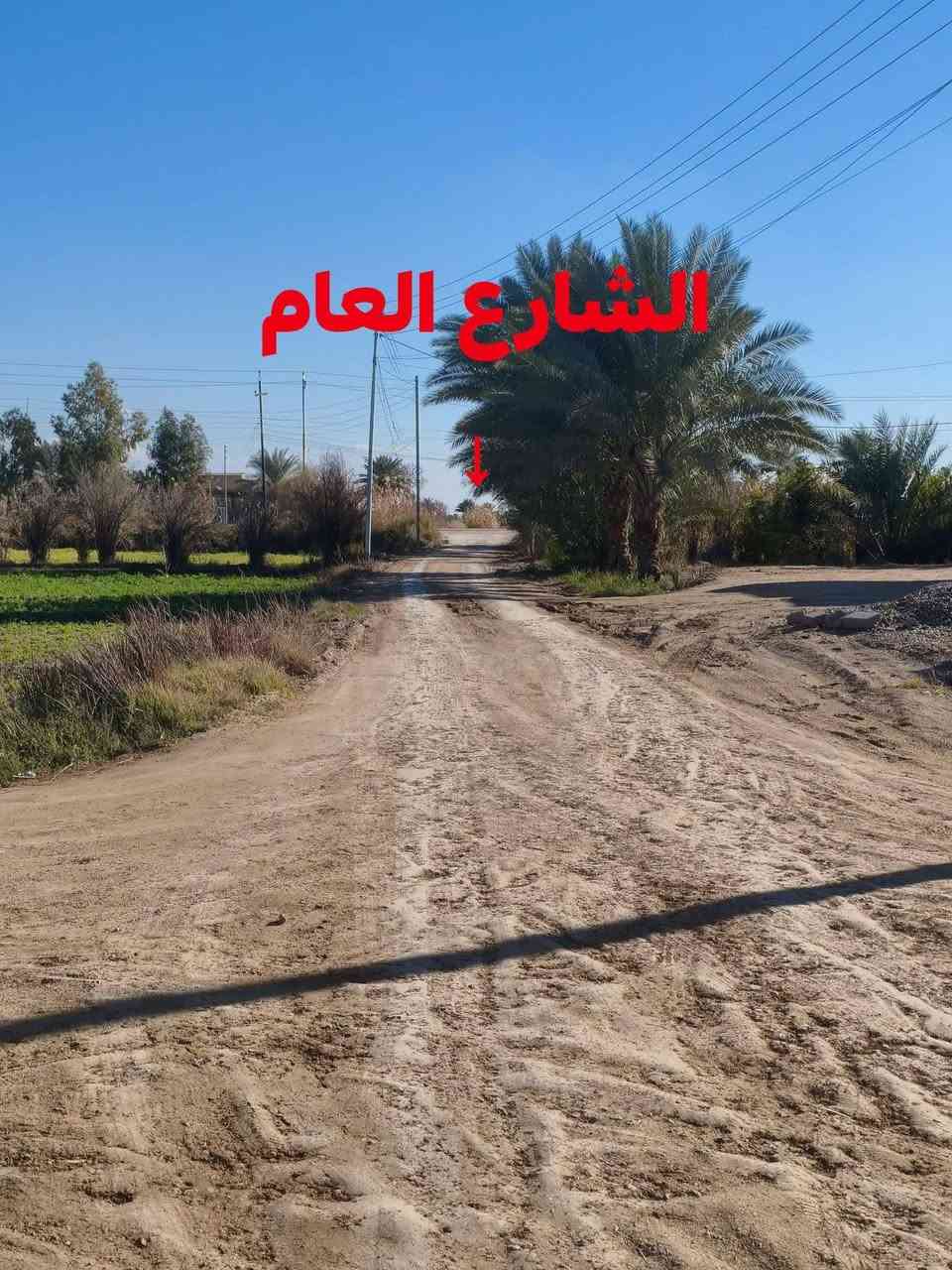 بسم الله الرحمن الرحيم
ارض زراعيه للبيع مساحة 3 دونم مع بيت صالح للسكن 
في منطقة ابو سديره الثانيه على النهر مباشره 
+ خدمات مي وكهرباء وشارع عام تبليط

تواصل ***********
