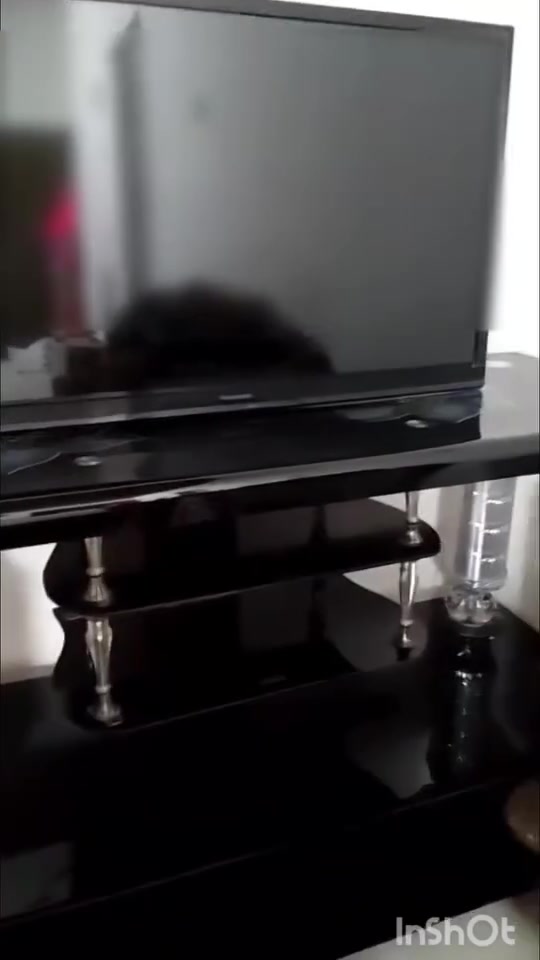 ميز بلازما سعره ٧٥ جديد كلش


**إذا كنت صاحب هذا الإعلان وتريد حذفه لأي سبب، رجاءا أرسل رسالة إلى الدعم الفني**
