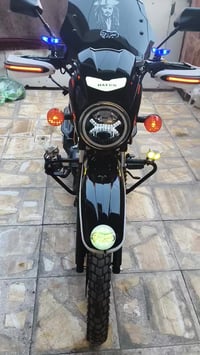 دايوان • أوراق إسكندر • من المعرض