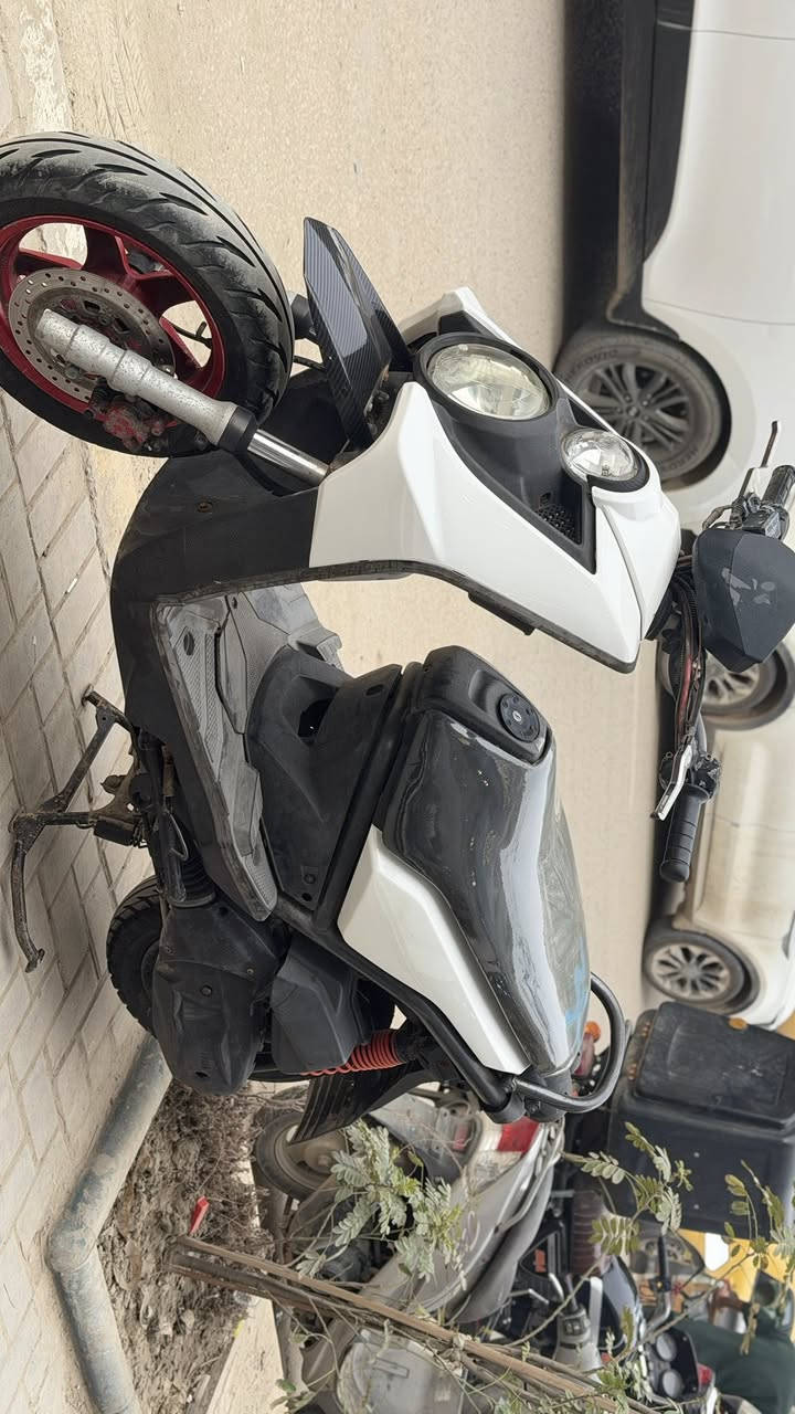 دراجه سنكز جبلي للبيع بلاديه الدراجه مكفوله من البرغي للبرغي شرط الفحص مكاني حله شارع الجمعيه وهذا رقمي *********** والسعر 1350 قفل 🔐 مابيها تفاهم حتى متصير احراجات
