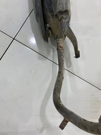 صالنصة بلادية • نجف