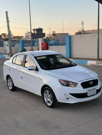 فاو • ٢٠١٣ • بدون صبغ