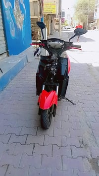 دراجة شحن • سكنس جبلي • نقص بالوجه