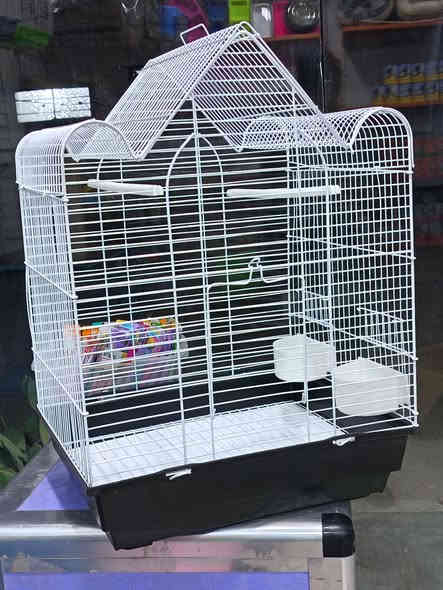 متوفر اقفاص بلابل مع معلفة اكل وماء
سعر  10 الف متوفر توصيل اقضيه نواحي جميع
الالوان بيهن العنوان
كوت العزه قديمه قرب مركز الشرطه
***********
