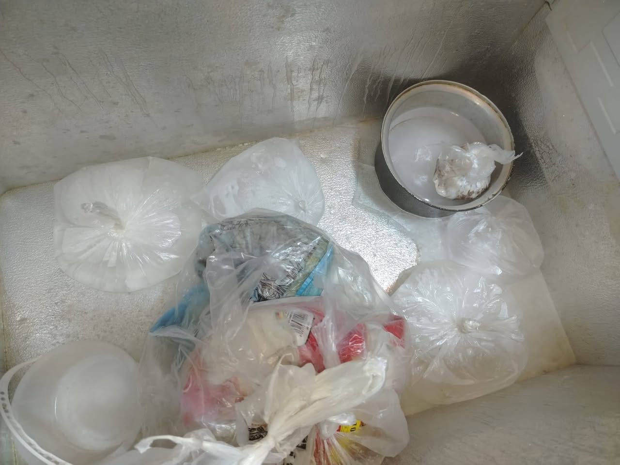 مجمدة للبيع حجم كبير السعر مع القاعده 170 بي مجال


**إذا كنت صاحب هذا الإعلان وتريد حذفه لأي سبب، رجاءا أرسل رسالة إلى الدعم الفني**