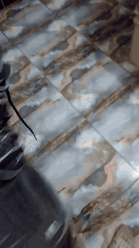 باله اصلي قياس 41 07819449203