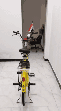 بايسكل • ياباني اصل • اغراض كاملة