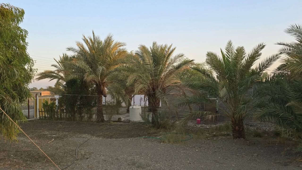 بستان للبيع ركن على شارعين وبي بيت واحد دونم 
مساحته 120 متر السعر 100وبي مجال 
جنس الارض طابو سند 25 فتح بيان بأسم المشتري
على التبليط مباشر العنوان تاجي ذراع دجلة بمنطقة الشيخ عامر بداية المنطقة
كامل ماء اساله وسقي وكهرباء 
للاستفسار واتساب ***********
