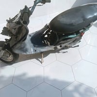 ماكس منغولي • تعمير جديد • رياضي