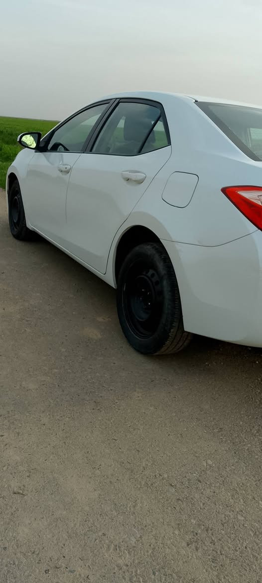 كورلا 17 كندي ابيض صدفي رقم اربيل جديد هزه وسنوية بدون صبغ بدون تبديل فقط بارد  مكانات بسيطة جدا بدون ايرباكات و شواصي كوبون بانزين بي رادار و حجر بيئة شاشة تحكم  تبريد بيانو  مثبت سرعة تحديد مسار  موجود محرك وكير بالشرط مامفتوح بدون  مكان كركوك سعر 145 
***********
