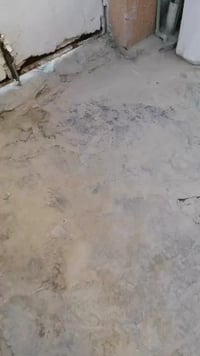 الميلاد الجديد • بيت للرهن • ١٠٠م