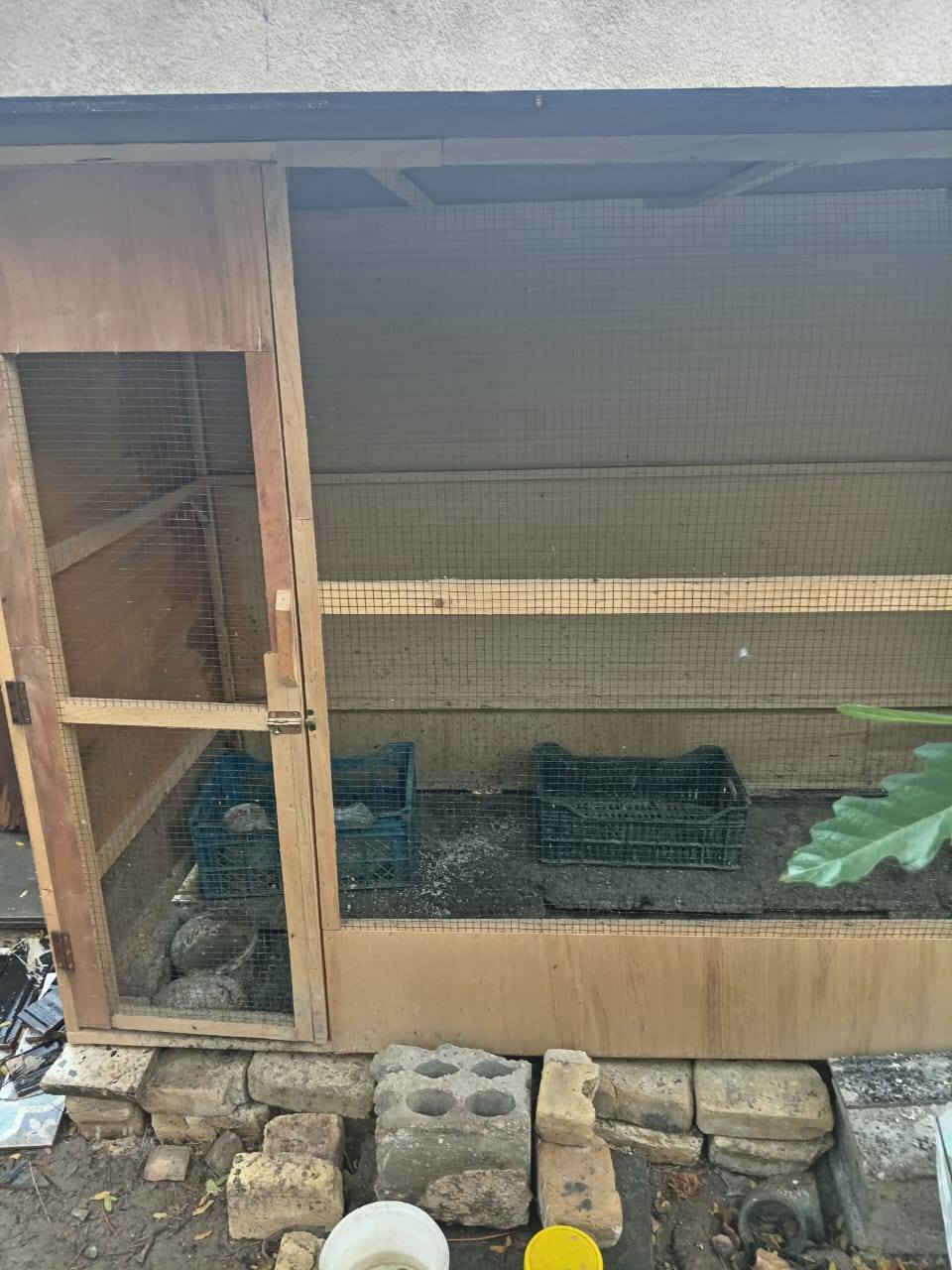 قفص للبيع


**إذا كنت صاحب هذا الإعلان وتريد حذفه لأي سبب، رجاءا أرسل رسالة إلى الدعم الفني**