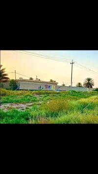 كنعان نهر ابراهيم • ١٥٠م • طابو زراعي