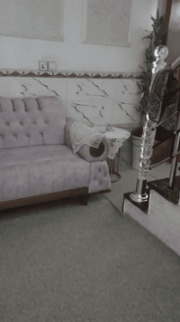 السلام عليكم ورحمة الله وبركاتة
غراض للبيع جدد نضيفات 1-تخم تركي لون أبيض عرش ذهبي وياه طبلات ثلاثه ذهبيات وبردة وعرش نضيفات كلشش 

2- تخم لون بصلي جديد كلش أسعارهن مناسبه 

الأول سعره 675 بي مجال 
                                                   أي ضرر مابيهن ومجالهن زين 
الثاني سعره 450 بي مجال 

التواصل واتساب أو أتصال على هذه الرقم ***********

يوجد تواصل على ماسنجر
