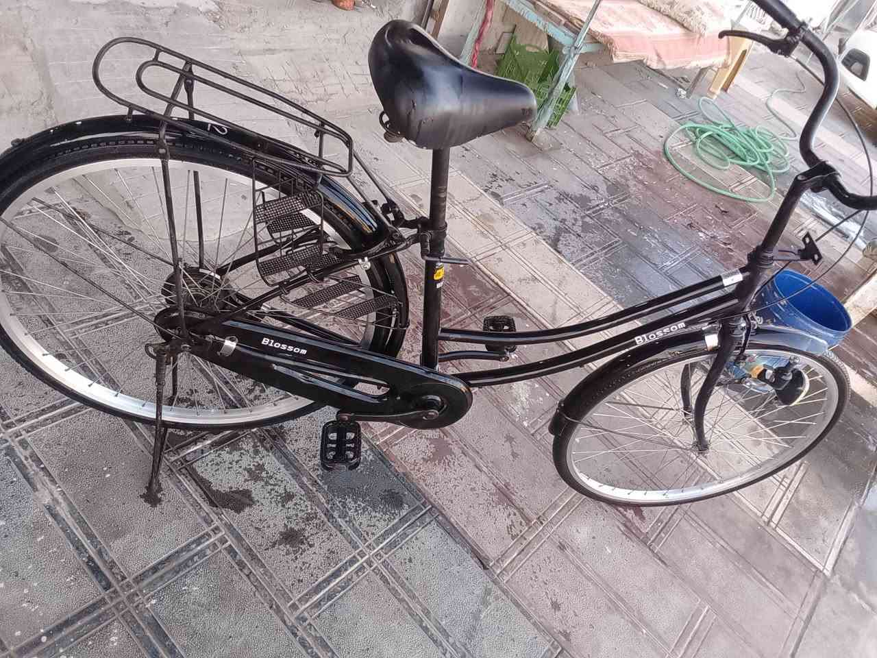 بيسكل حجم 26البيع المكان الشطره السعر 135وبي مجال الطيبين وشرايه 
***********
