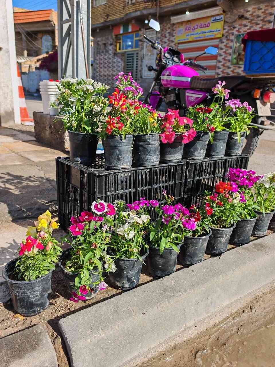 ذي_قار_مركز_المدينه_الإسكان_الصناعي_شارع_الجامع_قرب_الجامع_الكبير
#يوجد_خدمه_توصيل_اتصال_📞*********** 
#وت_سأب_انستگرام_https://www.instagram.com/msahhs87?utm_source=qr&igsh=MWY5czJvaG1sam0zcg==
