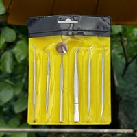 طقم تنظيف أسنان • ٦ قطع • ستان استيل