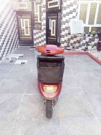 منغولي • نضيفه • سلف