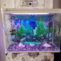 حوض سمك • للبيع • كركوك