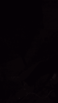 السلام عليكم سمند مديل ١١ للبيع كفالة عامة رقم قادسية مكينة وكير وحدادية وكهربائيات كلة كفالة عامة السيارة نظيفة واحلة من الصورة مكانهه الديوانية السعر   ٤٨ وبيه مجال***********
