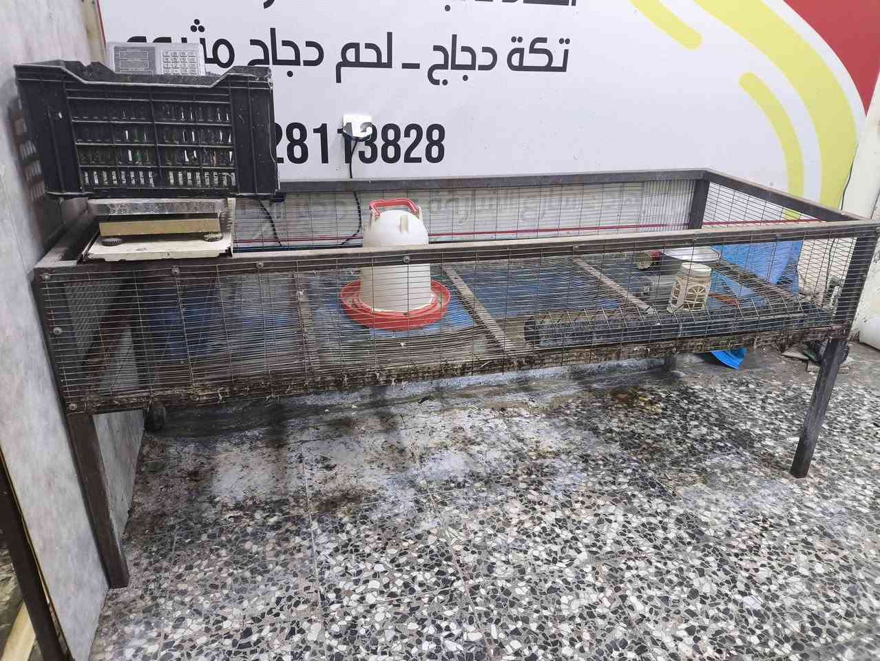 شواية ٨ شيش سل ستيل
ميز سل ستيل مترين وربع 
قناني غاز متروس عدد ٢
براميل ماء بلاستك عدد ٢ 
سنك وميز حوضين 
مذبح ٦ كبوس جدر كبير وبريمز 
هلاسه شاومي تركي اصلي حجم وسط 
اقفاص دجاج واحد جديد قياس ٣ متر وربع والثاني مستخدم مترين وربع 
للاستفسار ***********
المكان بغداد حي الجهاد
