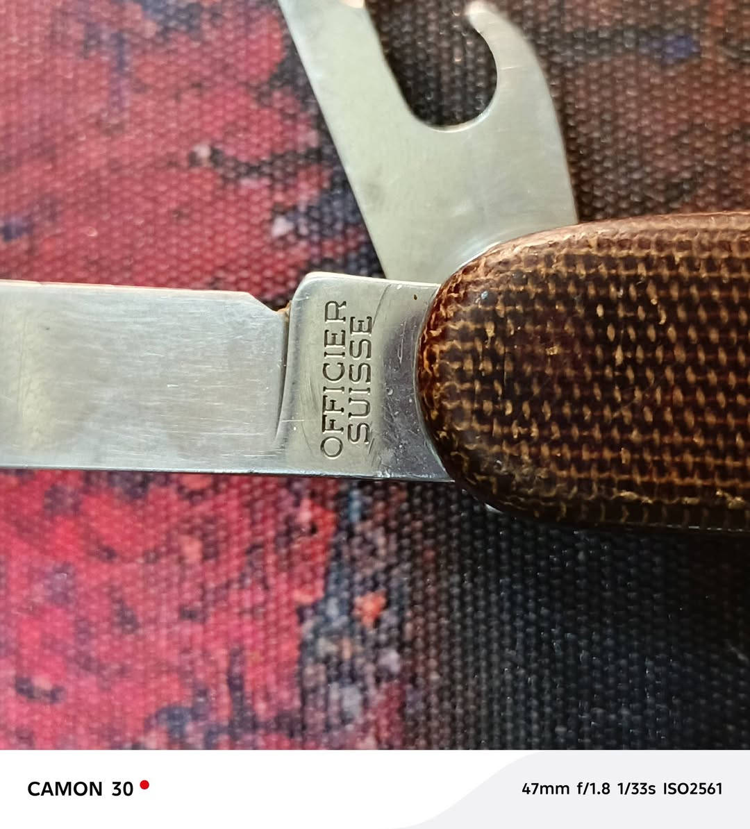 سويسري  اصلي اصلي  مستخدم  نظيف  سعر ٢٥


**إذا كنت صاحب هذا الإعلان وتريد حذفه لأي سبب، رجاءا أرسل رسالة إلى الدعم الفني**