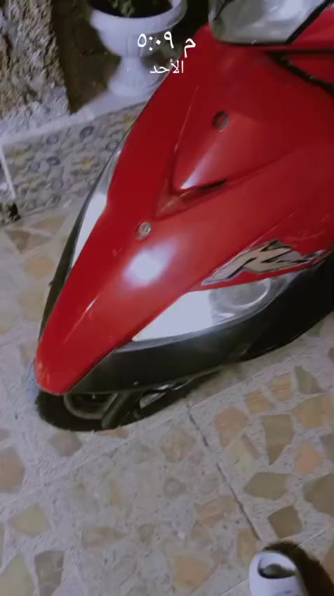 يا الله سلام عليكم
دراجه جيتي ار البيع الدراجه خير من الله مكفوله كفاله عامه بس الكابريتر تعبان (عنواني بغداد الكماليه) (السعر 600 وبيه مجال حك الجيه) (رقمي *********** ما متواجد على الخاص )
