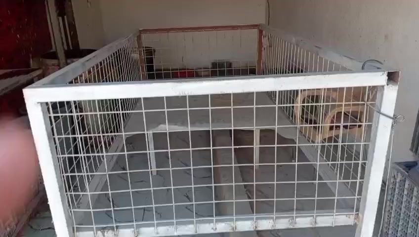 السلام عليكم غراض محل دجاج كامله للبيع سعر 450 مكاني باب مطار الخروج شراي يتصل ***********
