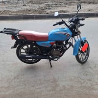 شاينك • موديل 23 • مرقّم ذي قار