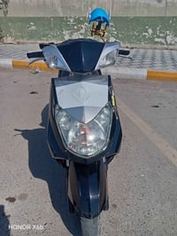 سكنس فحل • ياباني • اوراق كاملة