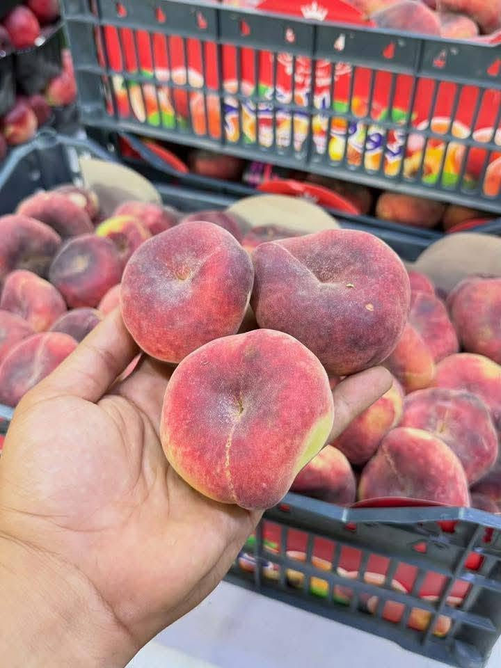 على بركة لله يتوفر لدينا جميع انواع فواكه وخضار وبسعار مناسبه  
طماطه 500
بتيته 750 
بصل 750
خيار 750
بيتنجان 750
شجر 1000
فلفل1500
لهانه 1000
فلفل حار1500
بانيه بتره 2500
لوبيا 2000
بروكلي 3000
باقلاء مفلسه 2500
طماطه كرزيه 1000
فطر 1000
تفاح اصفر والاحمر 1500
برتقال مصري 1500
برتقال عراقي 2000
لالنكي1500
تفاح اخضر 2500
كرز 5000
ليمون 2500
ليمون عراقي 4000
الو اصفر والاحمر 1500
الخوخ بلكل انواعه2000
ركي كيلو 750
بطيخ 🍈 750
ثوم عراقي 4000
يوجد لدينا توصيل 
‏‪***********‬‏ يوجد واتساب  اي حاجه متعجبك لاتستلمه من ابو توصيل  مسواك درجه اولى

